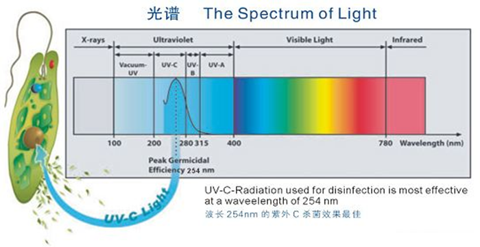 科普！紫外線殺菌燈對人體影響及正確使用方法
